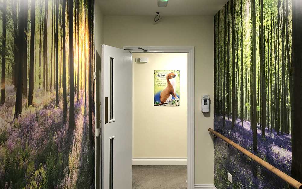 Hallway
